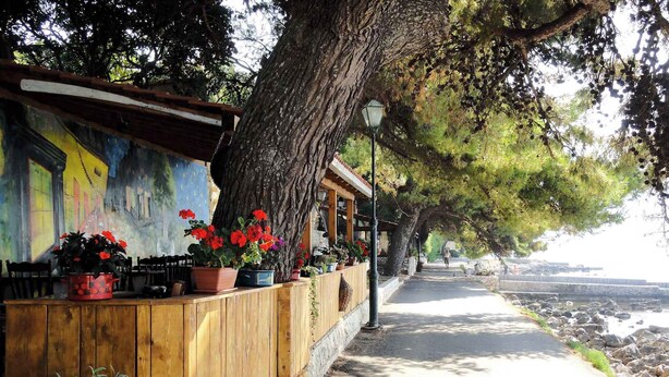 Un banco de madera con plantas en macetas, un mural y una pared de piedra.