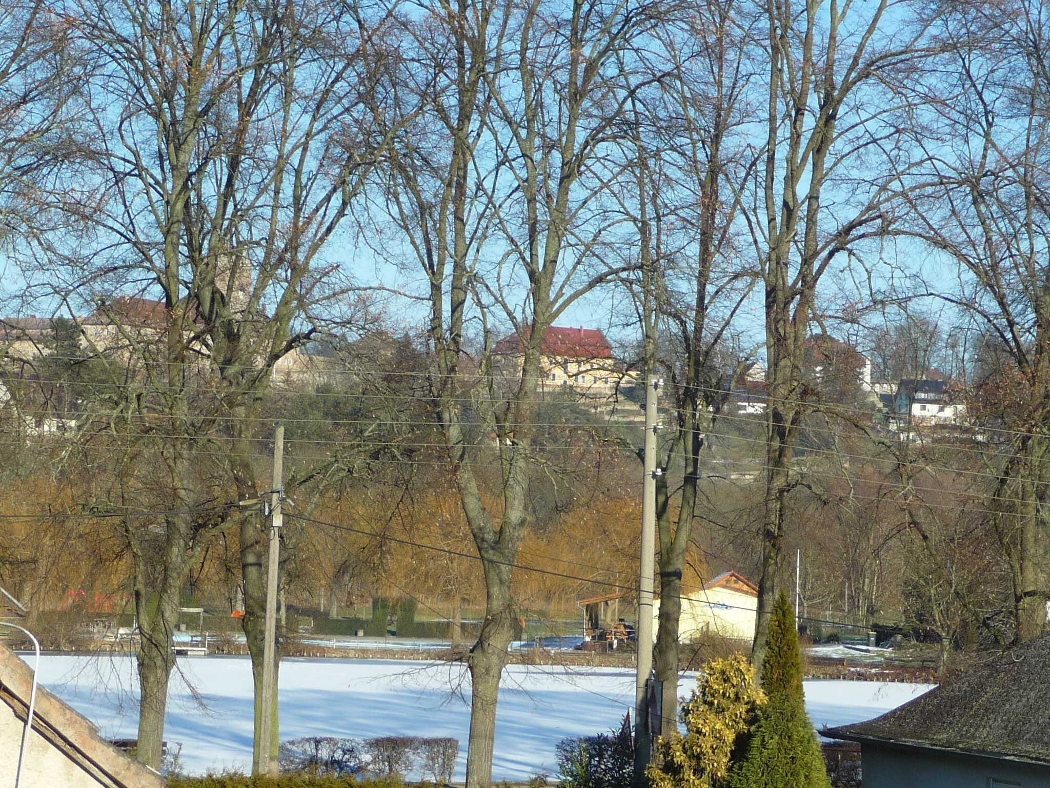 Ett bostadsområde med lövträ som har tappat sina löv, en snötäckt mark och hus i bakgrunden.