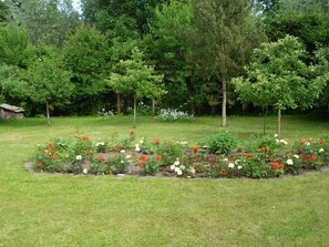 Een tuin met verschillende bloemen en bomen.