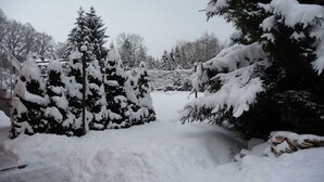 A snowy landscape with evergreen trees and a snow-covered ground. - Apartment OG - Apartment / DZ Blesse Allstedt (Allstedt)