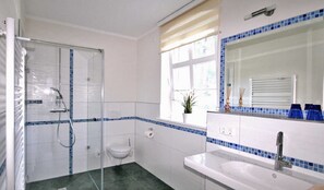 Shower, hair dryer, towels