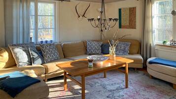 Fireplace, DVD player, ping pong