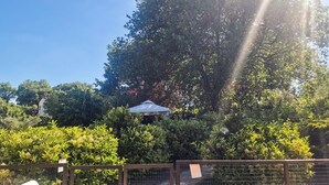 Un jardí amb una glorieta, envoltat de vegetació abundant i un cel serè.