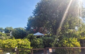 Property grounds - Beautiful home in Acquasparta -TR- (Acquasparta -TR-)