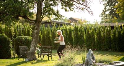 FEWO 2 - Wellness - Pension KNOLL am Attersee