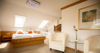 FEWO 2 - Wellness - Pension KNOLL am Attersee
