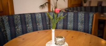 FEWO 2 - Wellness - Pension KNOLL am Attersee