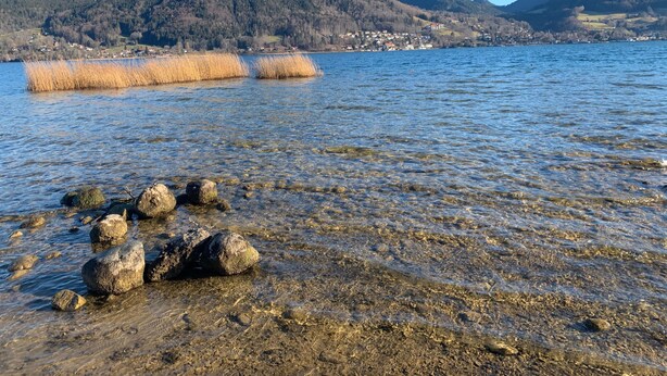 Un lac aux eaux claires, bordé de rochers et de roseaux.
