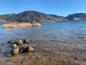 A lake with clear water, rocks, and reeds.