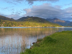 Unclassified image, 3 of 31, button