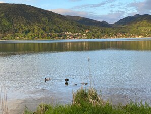 A calm lake with ducks, surrounded by lush green hills and a small town in the distance. - Apartment Ape Maja, Germany (Bad Wiessee)