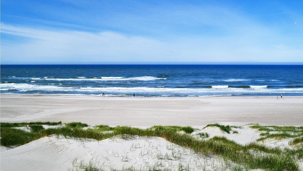 A beach with sand dunes and ocean waves.