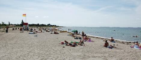 Tæt på stranden, fiskeri