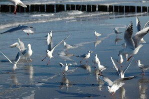 Unclassified image, 2 of 25, button