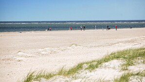 A wide sandy beach with people and dogs walking along the shore.