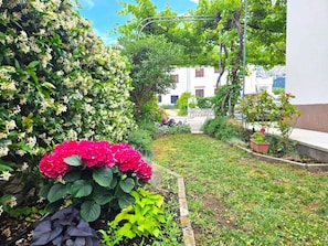 Ein Garten mit verschiedenen Pflanzen und Blumen, einem Weg und einem Gebäude im Hintergrund.