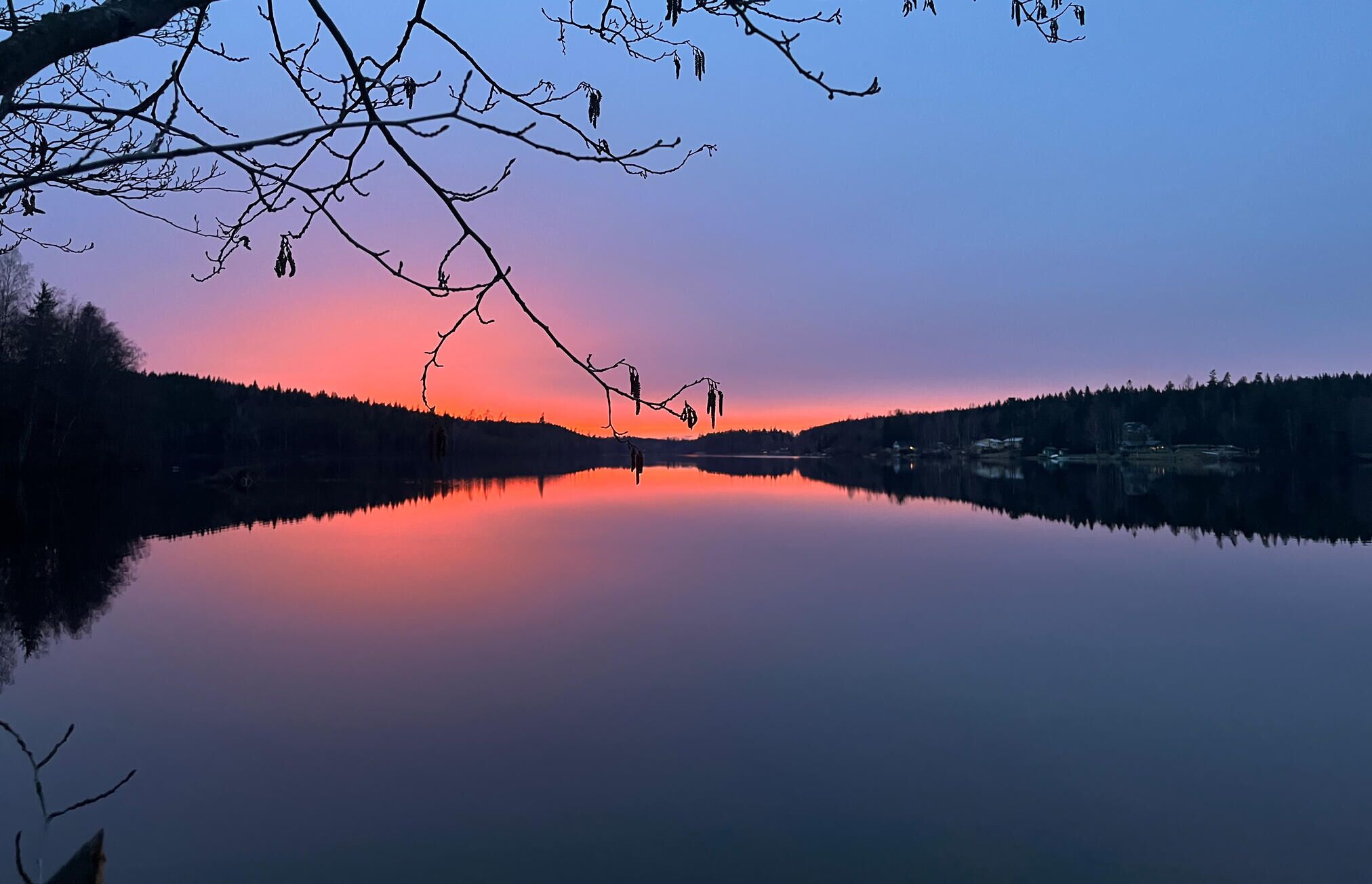 En rolig sø med et klart spejlbillede, omgivet af tæt skov og en fjern kystlinje.