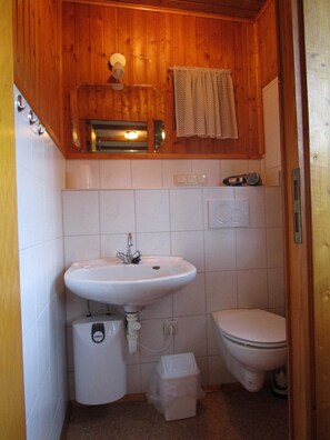 Shower, hair dryer, soap, toilet paper - House Hochstein - Farm Büchsenschütz (Vöhl)