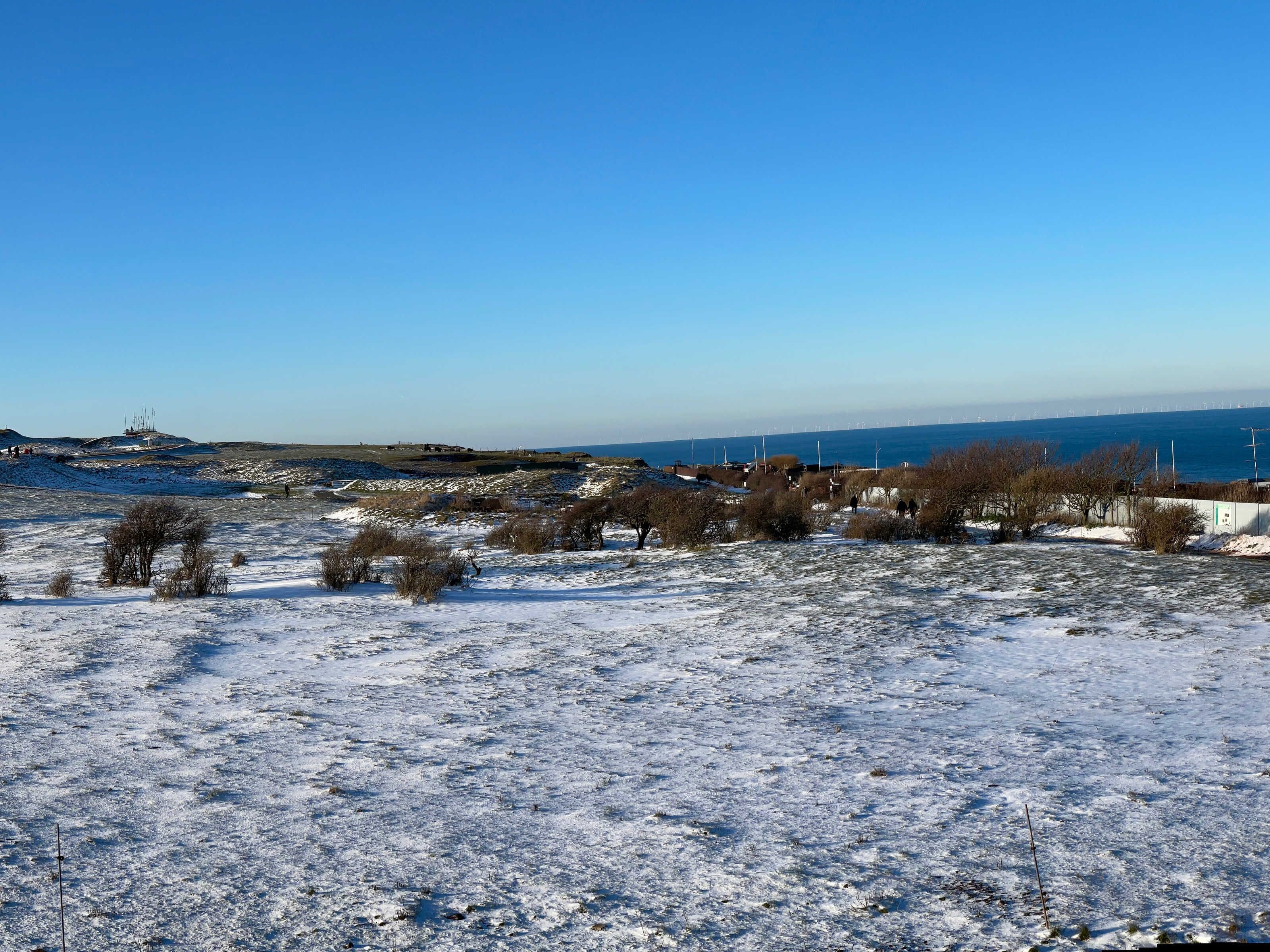 A snow-covered landscape with a clear sky, distant wind turbines, and sparse vegetation.