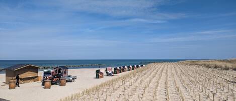 A beach with sand dunes, a wooden fence, and beach huts.