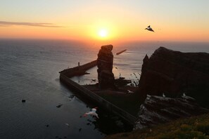 Uklassifisert bilde, 3 av 19, knapp