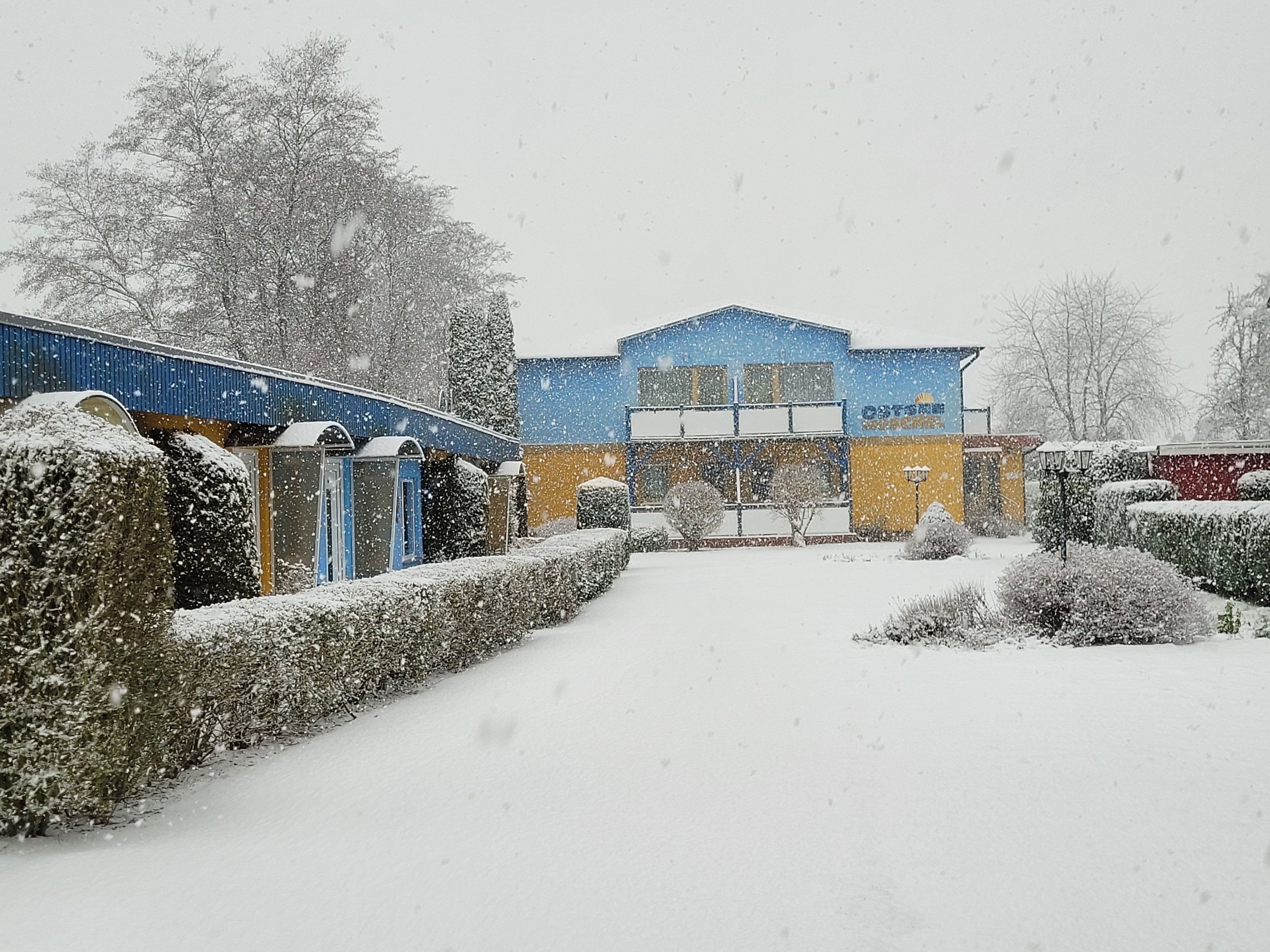 Eksteriør