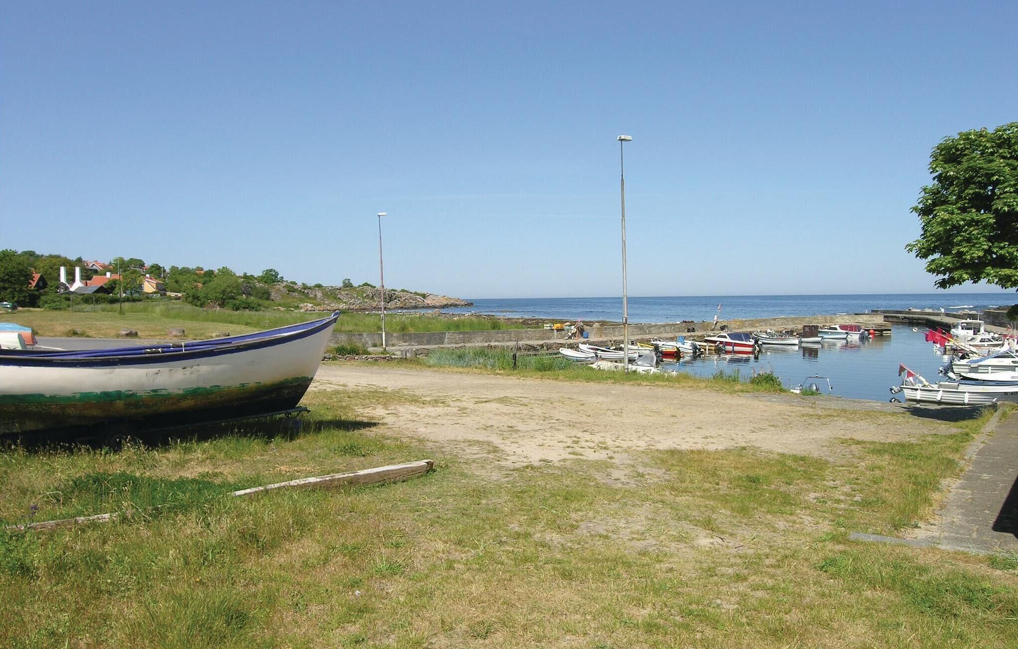A marina with several boats docked, a grassy area in the foreground, and a clear sky.