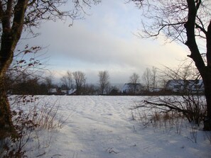 Un campo cubierto de nieve con árboles desnudos y casas al fondo.
