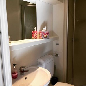 Hair dryer, towels, soap, toilet paper