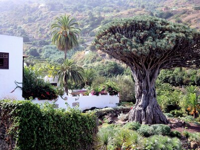 Finca Casa Yaya