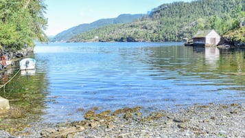 Vlak bij het strand, vissen
