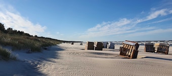 Vacation apartment Ostseeperle 14 - Holiday apartment Ostseeperle 14-1 SZ up to max. 4