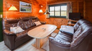 Een televisie, een open haard, een dvd-speler en een stereo