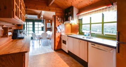 3 bedroom stunning home in Roslev