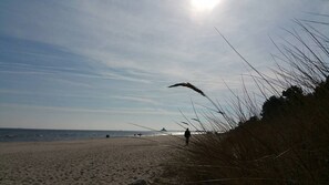 Tæt på stranden
