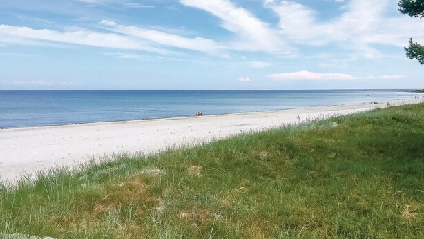 En strand med en gräsklädd förgrund och fri sikt ut över havet.