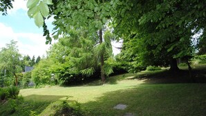 Een gazon met bomen en een pad.