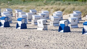 Sedie da spiaggia numerate disposte sulla sabbia.