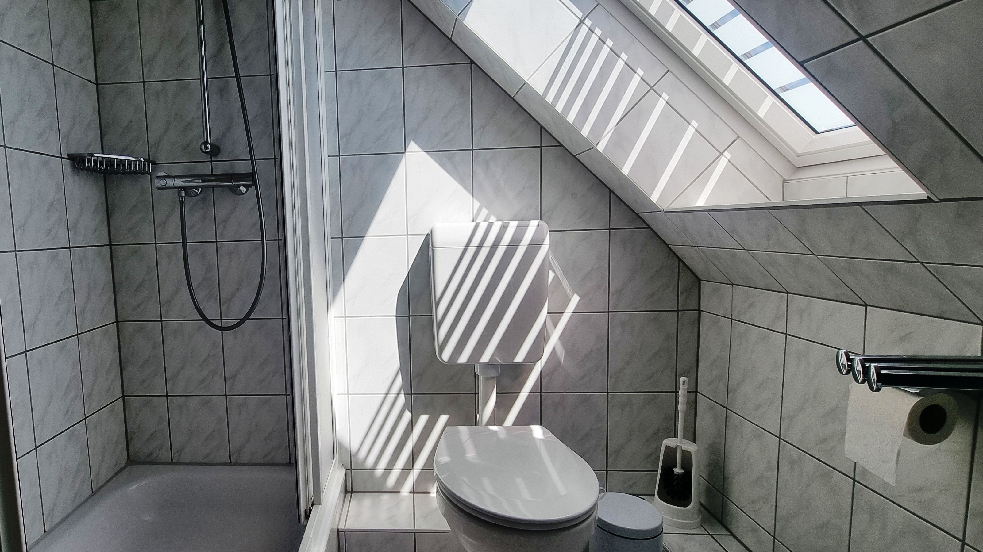 Shower, hair dryer