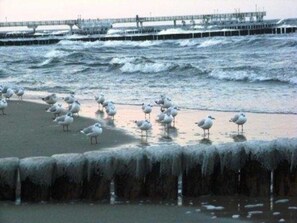 Plage à proximité