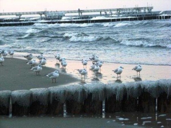 In Strandnähe