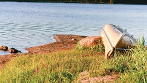 A boat on a grassy shore by a lake with trees in the background. - Beautiful home in Dalum with kitchen (Dalum)