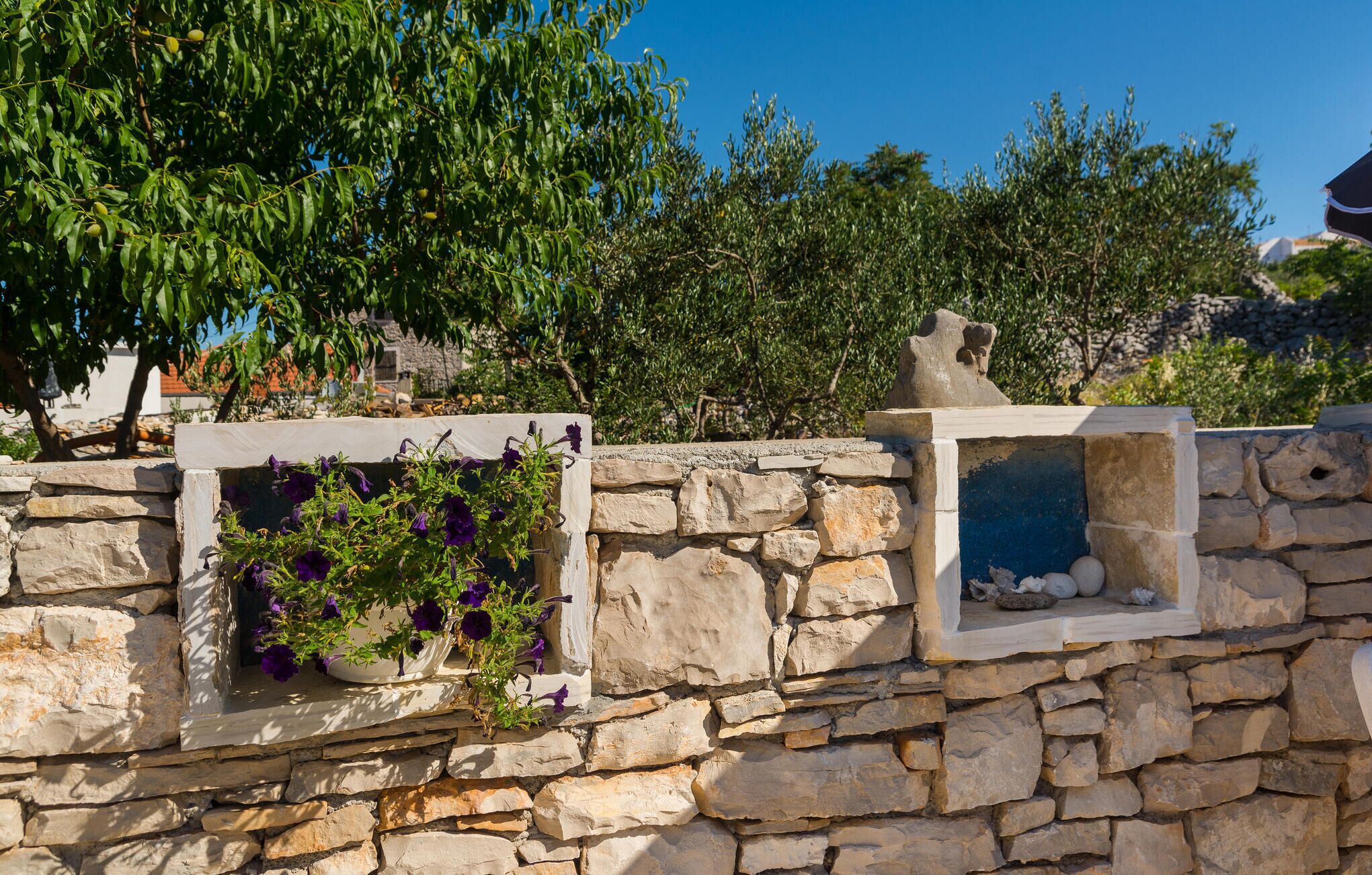 Terrein van de accommodatie