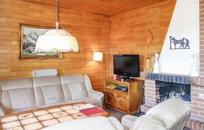 Fernseher, Kamin