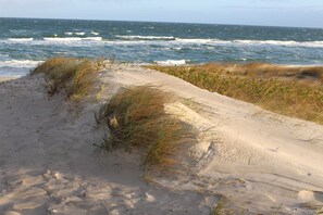 Playa en los alrededores