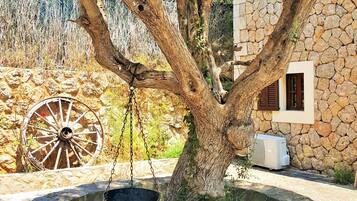 Terrein van de accommodatie