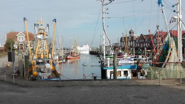 Um porto com vários barcos atracados, um navio grande ao fundo e edifícios ao longo da orla.