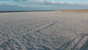 Vasta área arenosa e aberta, com vegetação escassa, provavelmente um deserto ou praia.