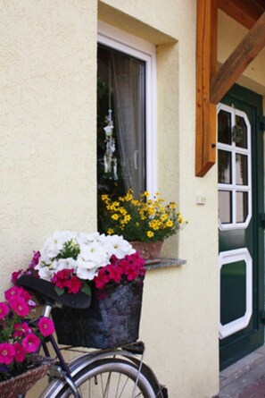 Unclassified image, 4 of 11, button