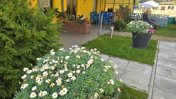 Un bâtiment jaune doté d’un patio couvert, d’un jardin avec des fleurs blanches et d’une clôture bleue.